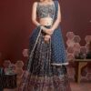 Elegant Cherry Red Embroidered Silk Lehenga